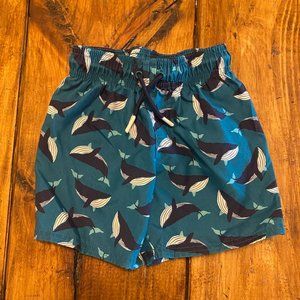 Cat & Jack Swim Trunks